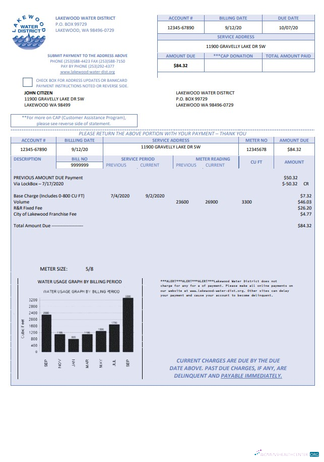 download download USA Lakewood Water District utility bill template in Word and PDF format PDF template PDF template